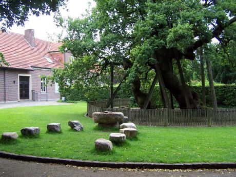 Femeiche mit Femegericht